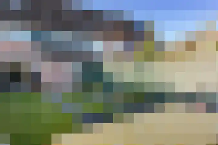 Rietzanger 92 Hoorn thumbnail 35