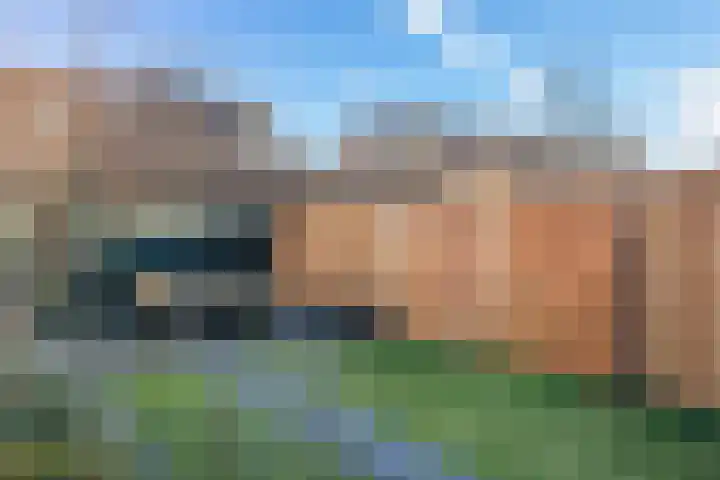 Rietzanger 92 Hoorn thumbnail 37