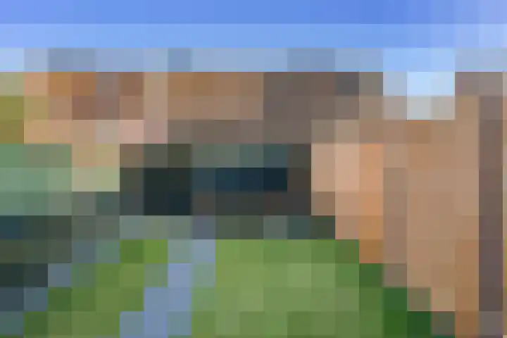 Rietzanger 92 Hoorn thumbnail 38