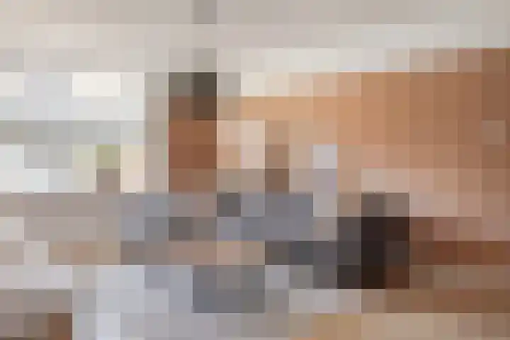 Rietzanger 92 Hoorn thumbnail 4