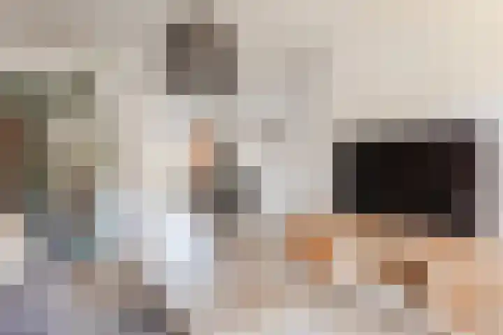 Rietzanger 92 Hoorn thumbnail 8