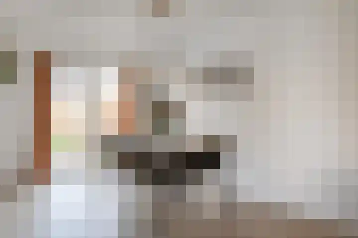 Rietzanger 92 Hoorn thumbnail 9