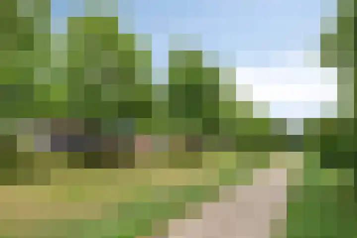 Rietzangerlaan 116 IJsselstein thumbnail 29
