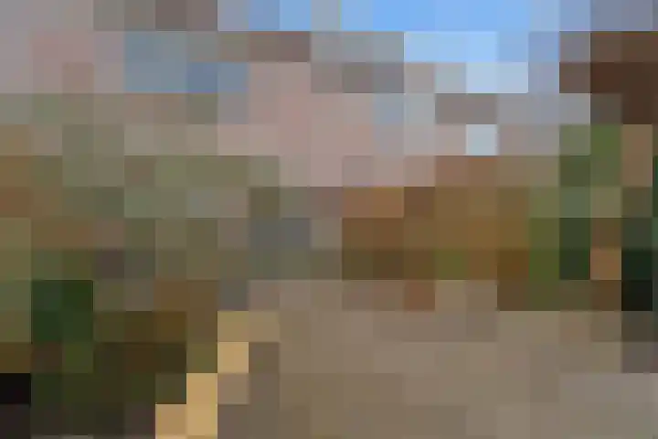 Rietzangerlaan 26 IJsselstein thumbnail 28