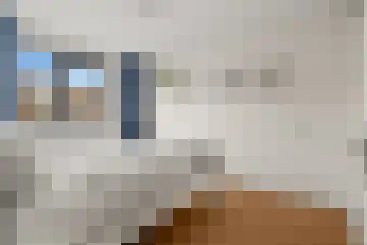 Rietzangerlaan 26 IJsselstein thumbnail 32