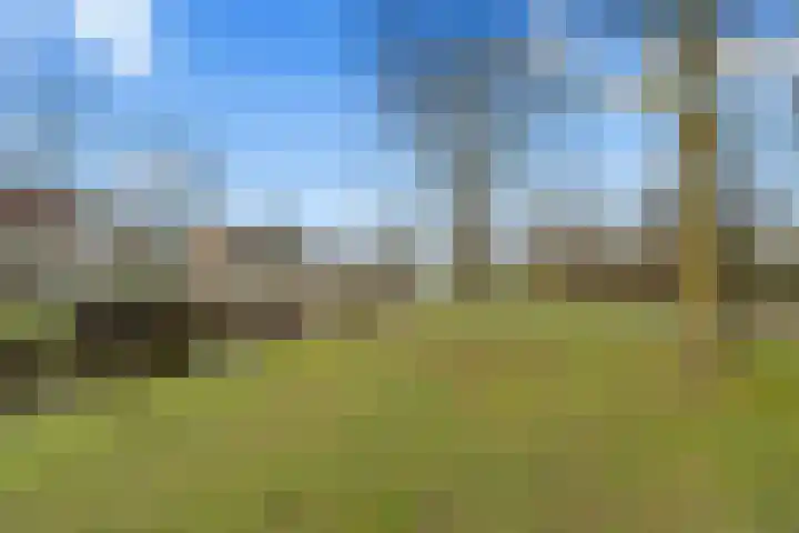 Rietzangerlaan 26 IJsselstein thumbnail 5