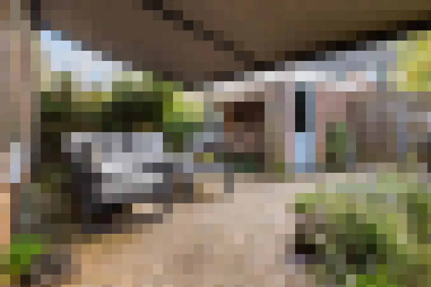 Rietzangerlaan 35 IJsselstein thumbnail 24