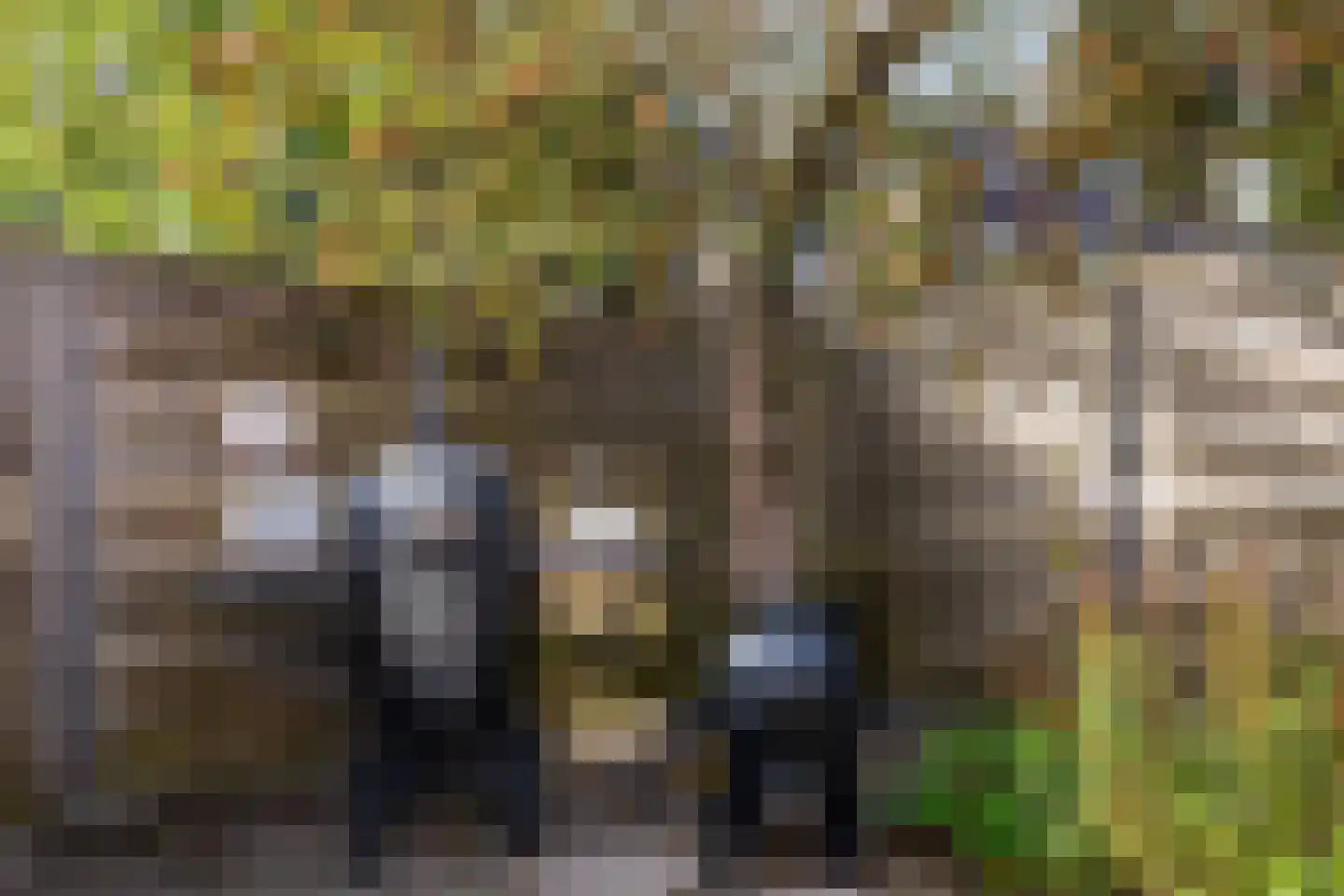 Rietzangerlaan 35 IJsselstein thumbnail 26