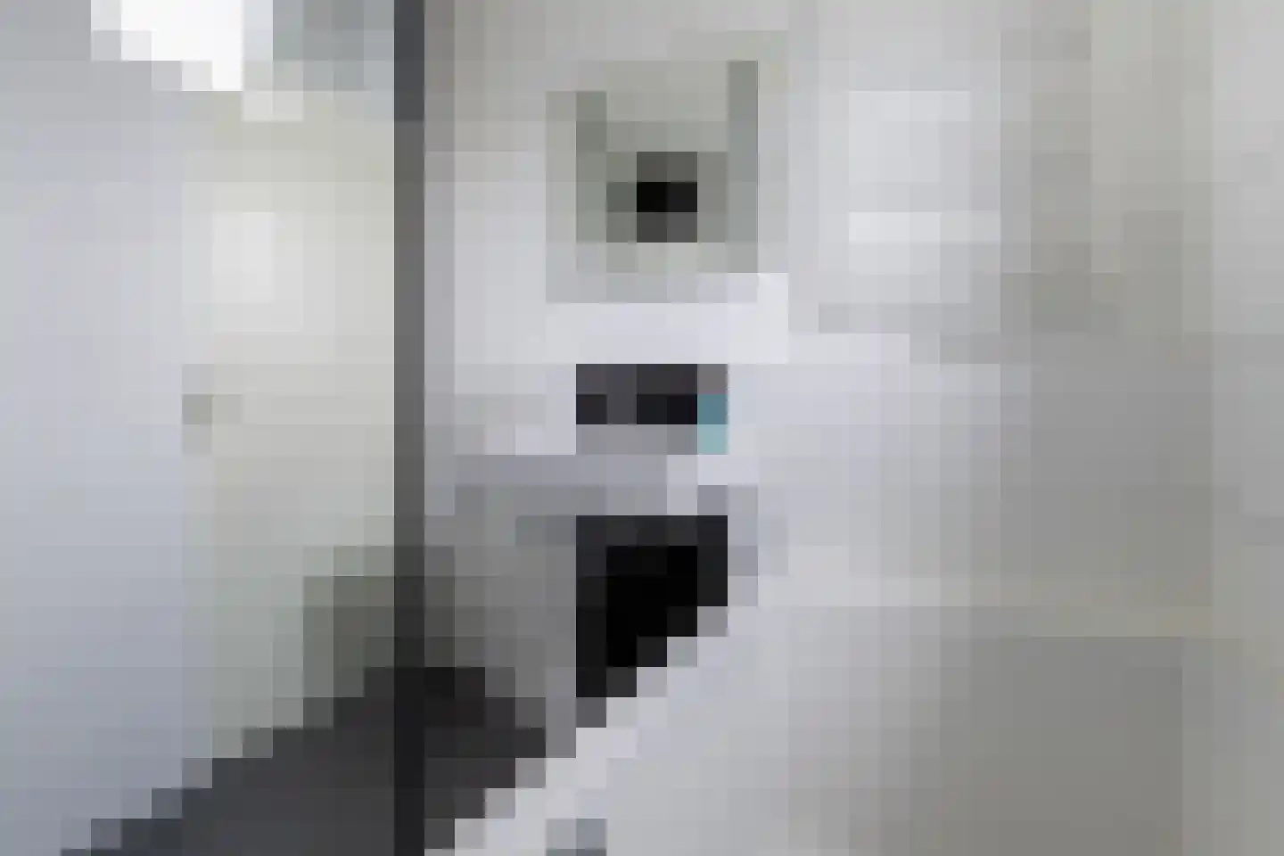 Rietzangerlaan 35 IJsselstein thumbnail 39