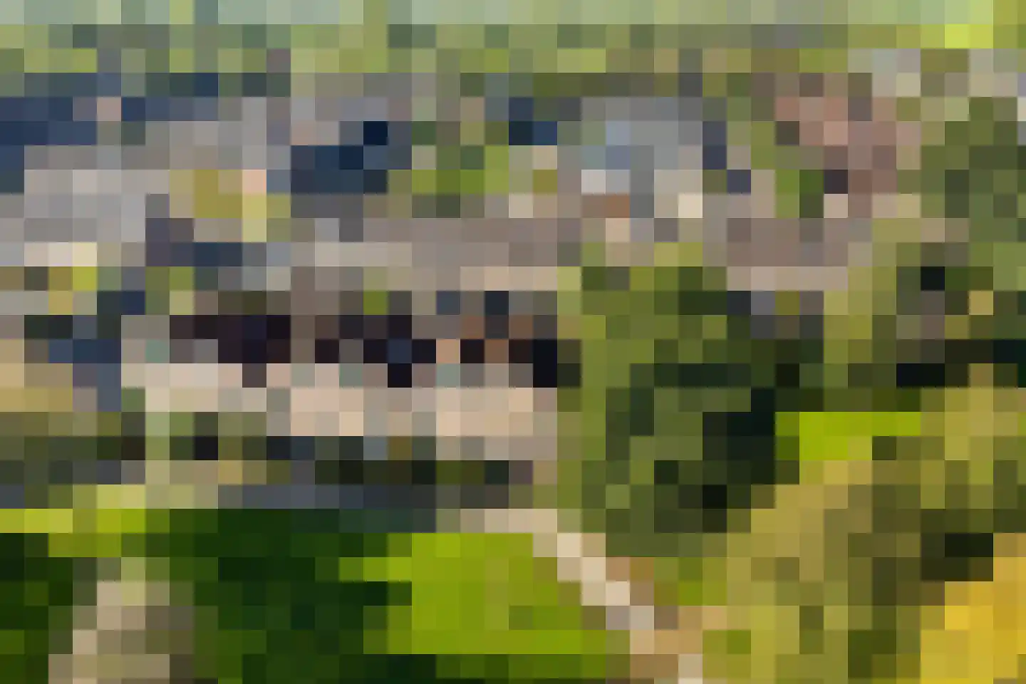 Rietzangerlaan 35 IJsselstein thumbnail 48