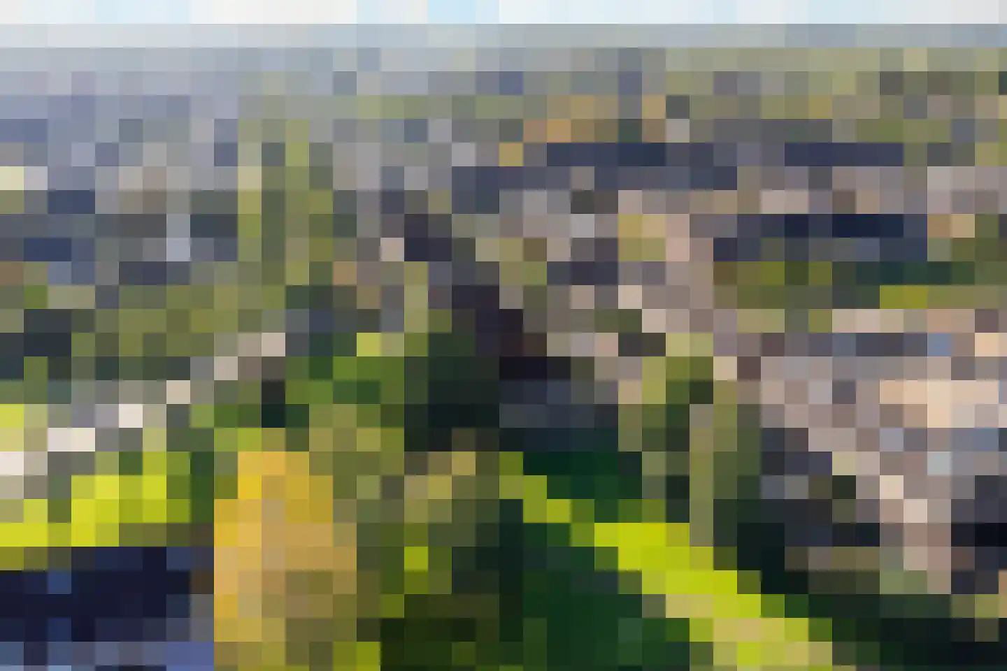 Rietzangerlaan 35 IJsselstein thumbnail 50