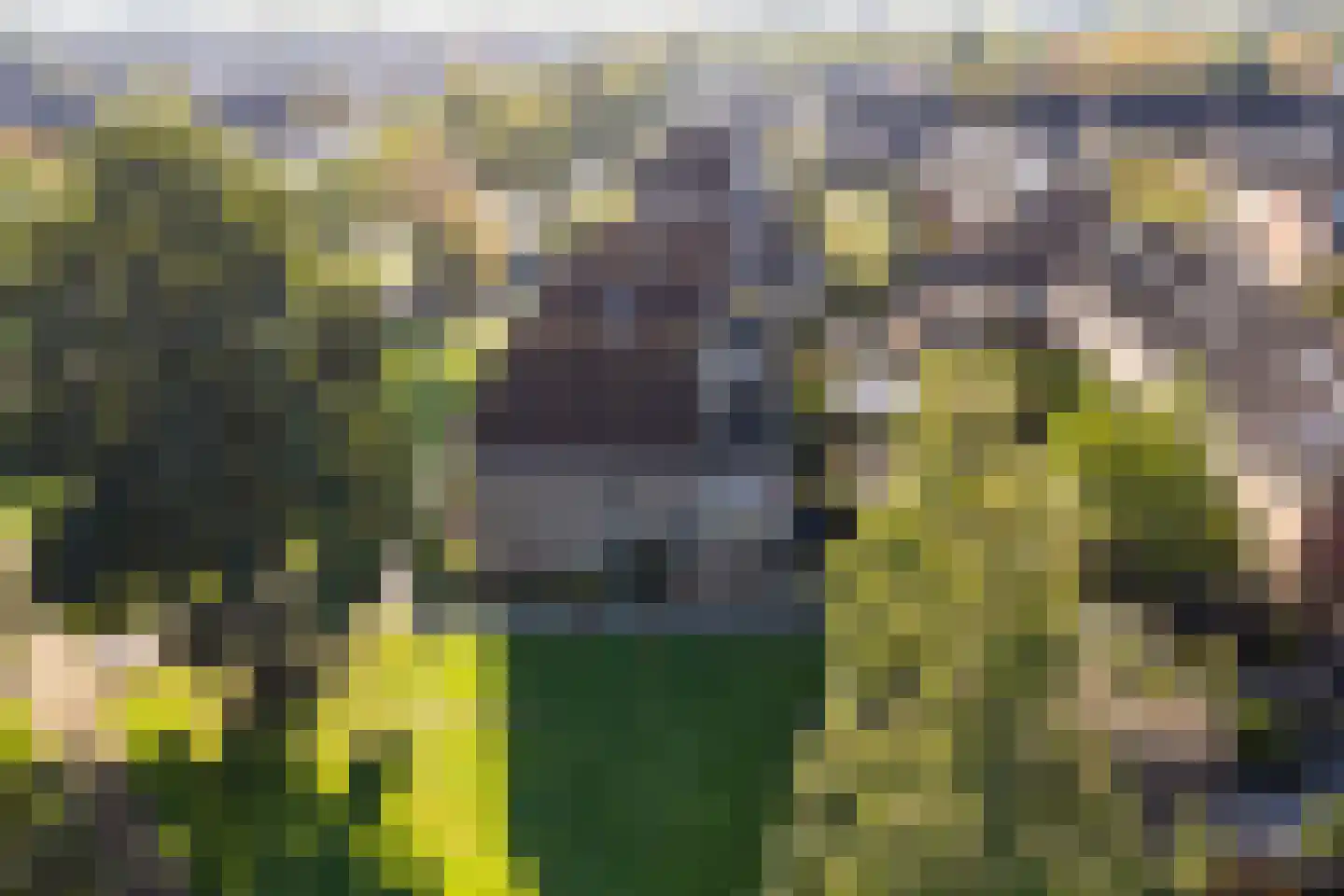 Rietzangerlaan 35 IJsselstein thumbnail 56