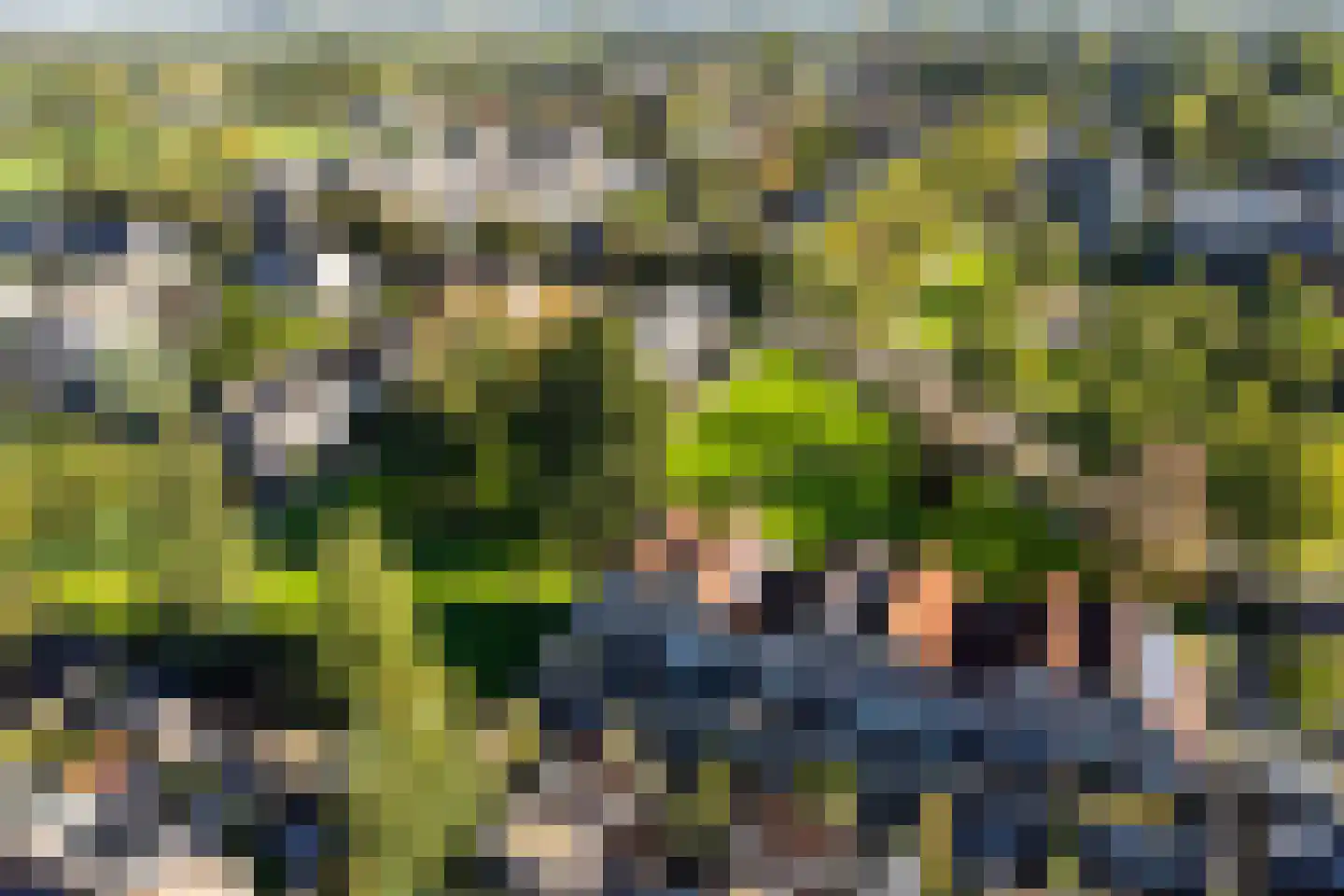 Rietzangerlaan 35 IJsselstein thumbnail 8