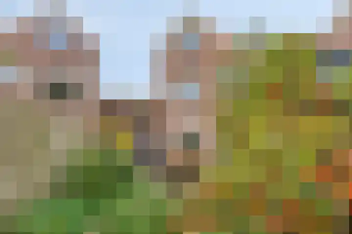 Rietzangerlaan 46 IJsselstein thumbnail 20