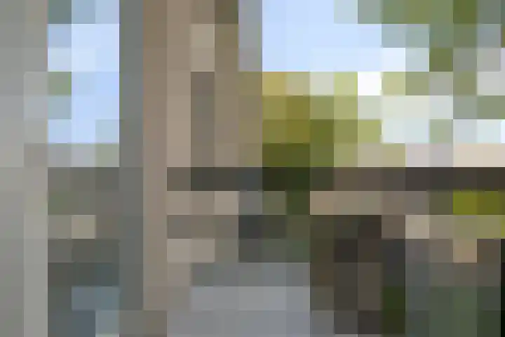 Rietzangerlaan 7 IJsselstein thumbnail 23
