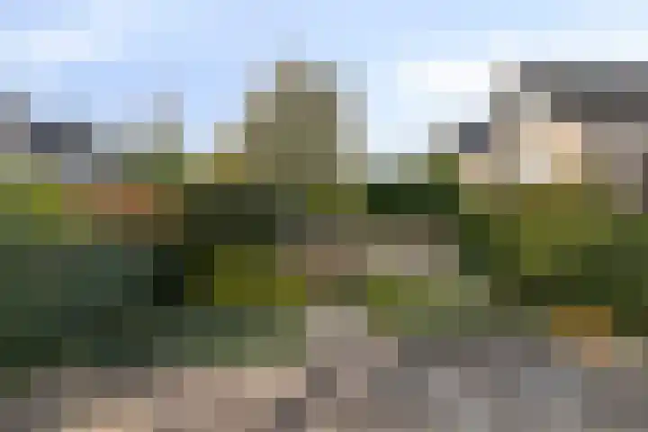 Rietzangerlaan 7 IJsselstein thumbnail 31