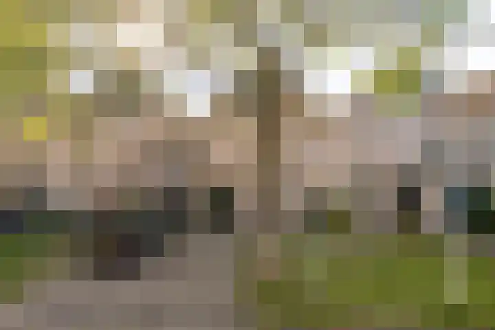 Rietzangerlaan 7 IJsselstein thumbnail 32