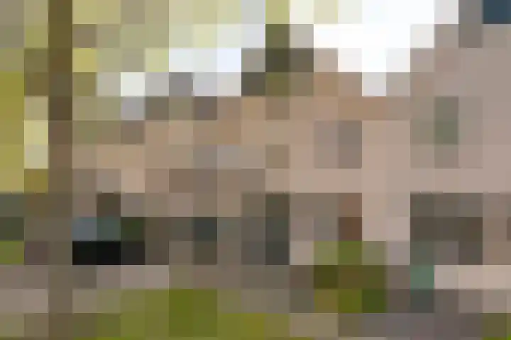 Rietzangerlaan 7 IJsselstein thumbnail 33