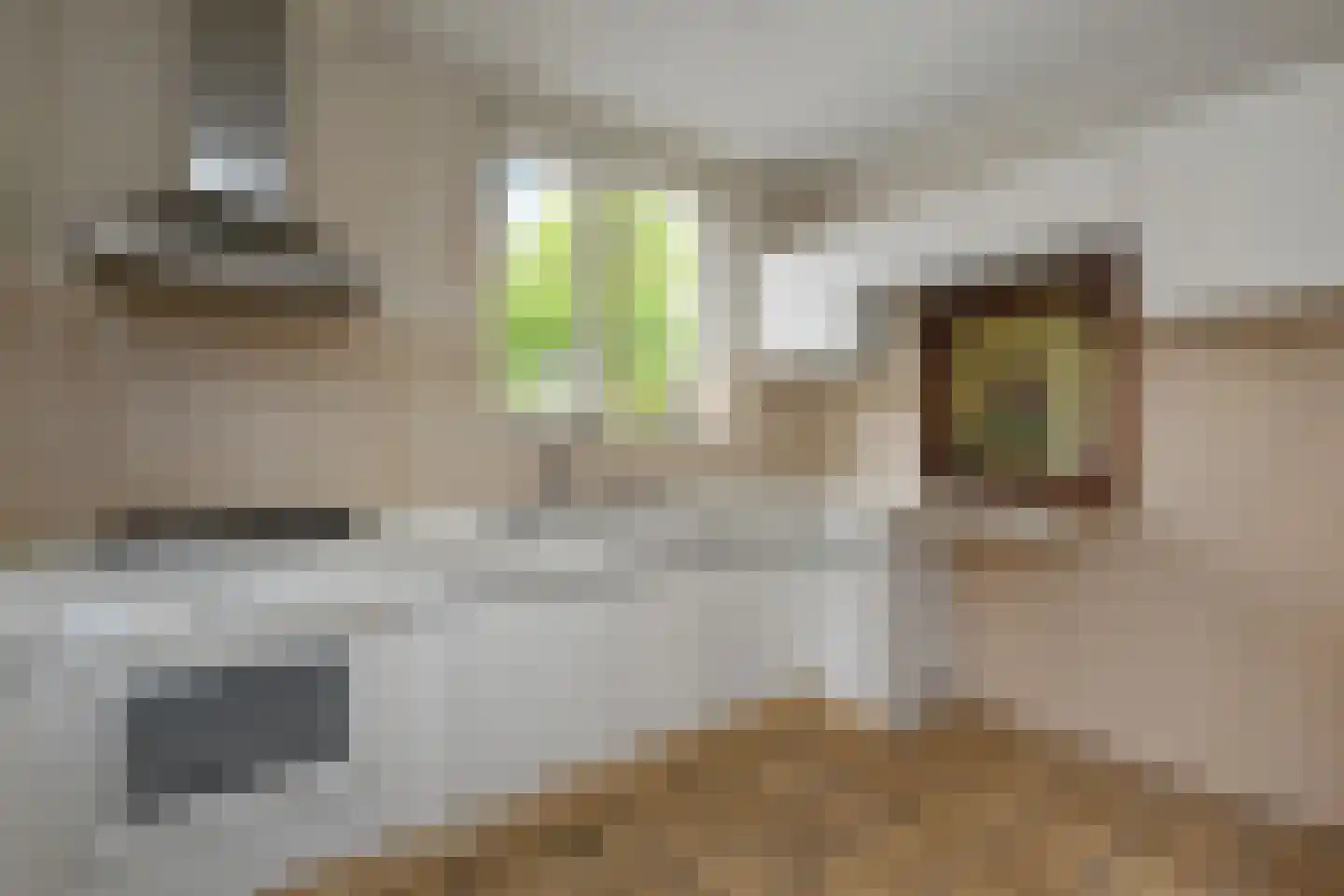 Rietzangerpad 10 Voorschoten thumbnail 15