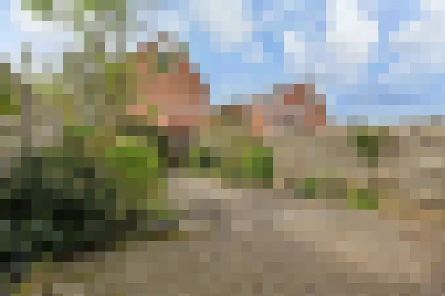 Rietzangerpad 10 Voorschoten thumbnail 4