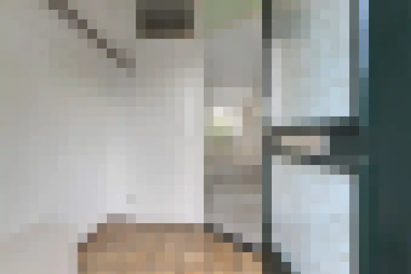 Rietzangerpad 10 Voorschoten thumbnail 8