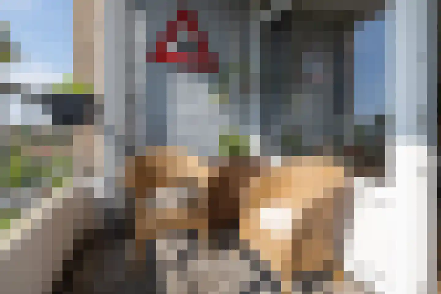 Rietzangerstraat 109 Amersfoort thumbnail 25