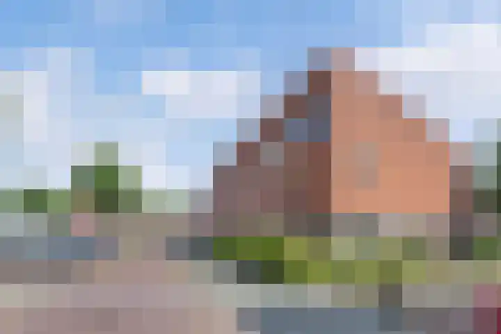Rietzangerstraat 11 Emmeloord thumbnail 38