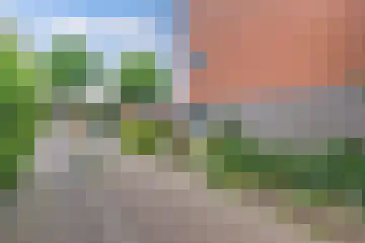 Rietzangerstraat 11 Emmeloord thumbnail 39