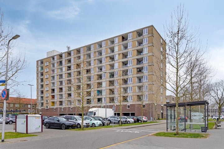 Rietzangerstraat 163 in Amersfoort