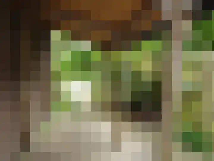Rietzangerstraat 2 Schagen thumbnail 18