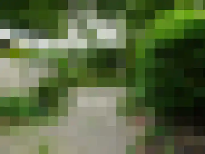 Rietzangerstraat 2 Schagen thumbnail 5