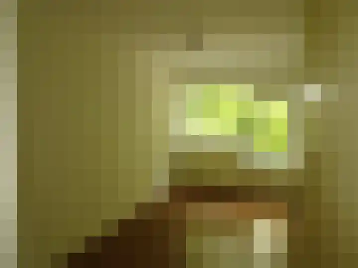 Rietzangerstraat 27 Schagen thumbnail 17
