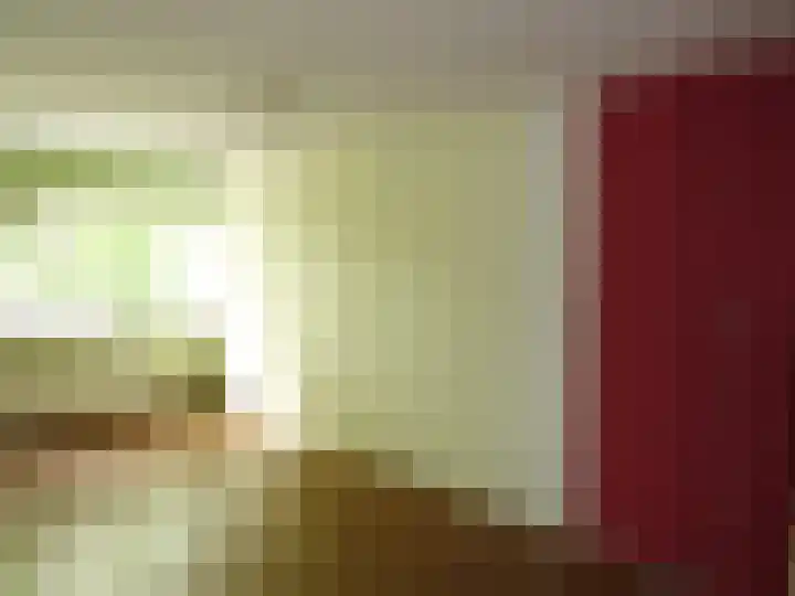 Rietzangerstraat 27 Schagen thumbnail 18