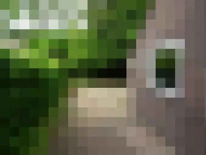 Rietzangerstraat 27 Schagen thumbnail 23