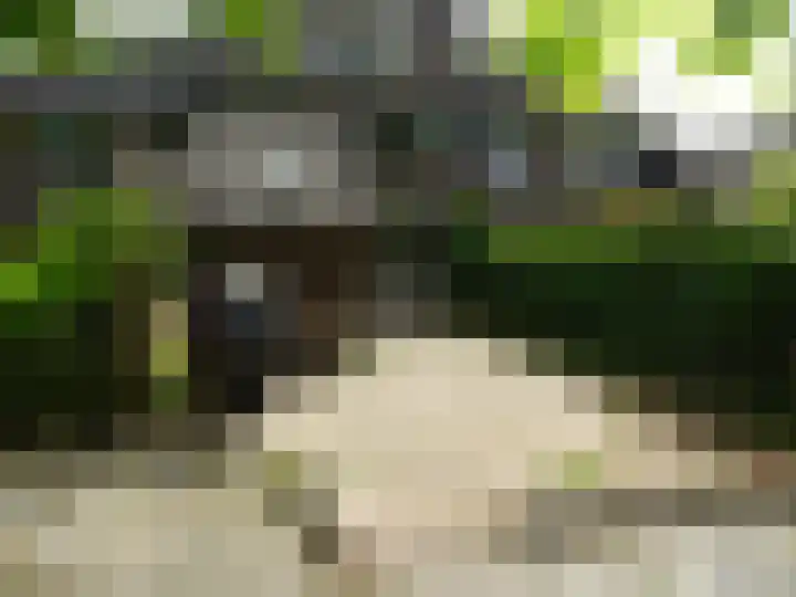 Rietzangerstraat 27 Schagen thumbnail 5