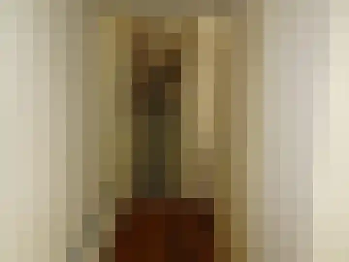 Rietzangerstraat 27 Schagen thumbnail 7