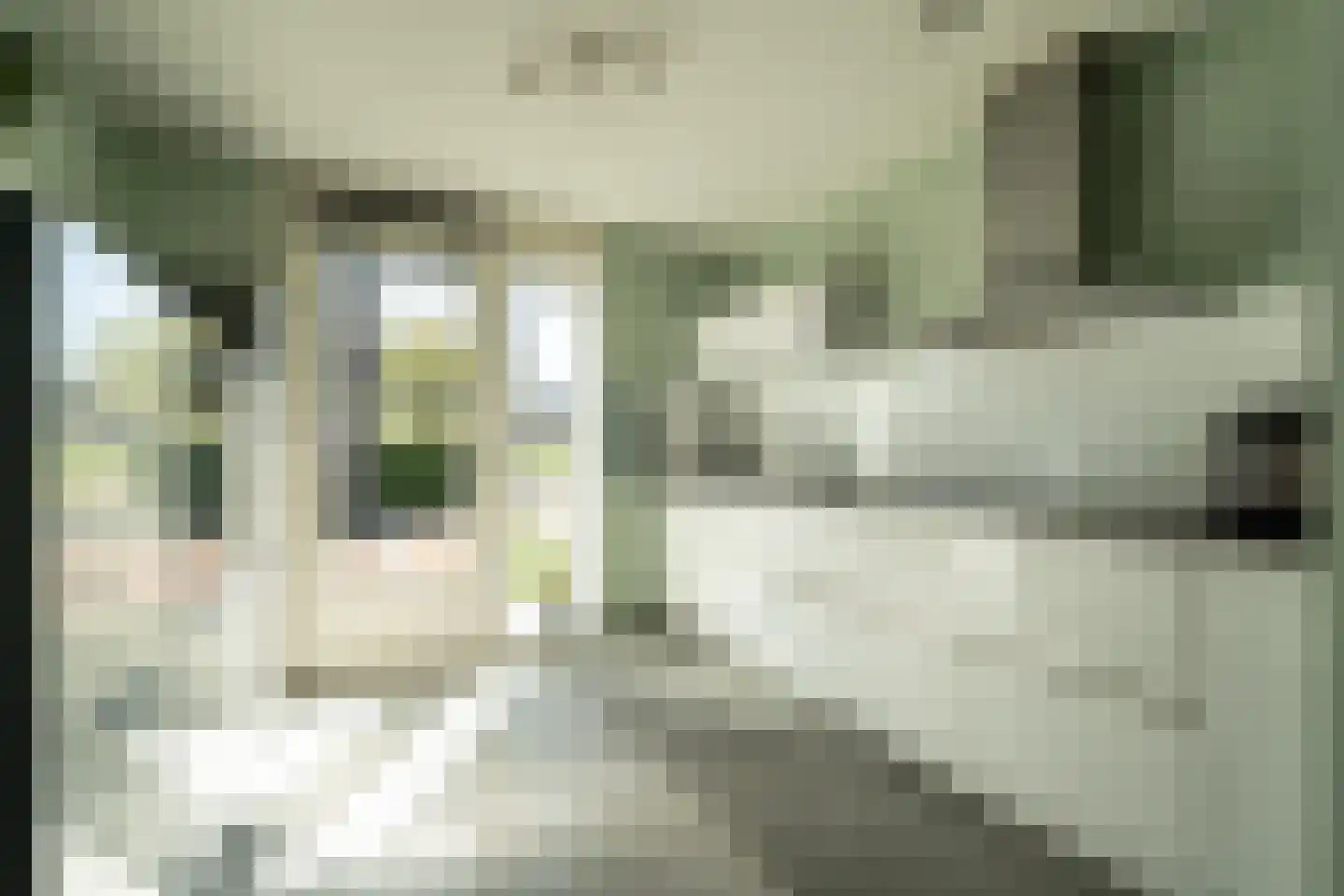 Rietzangerstraat 32 Den Haag thumbnail 4