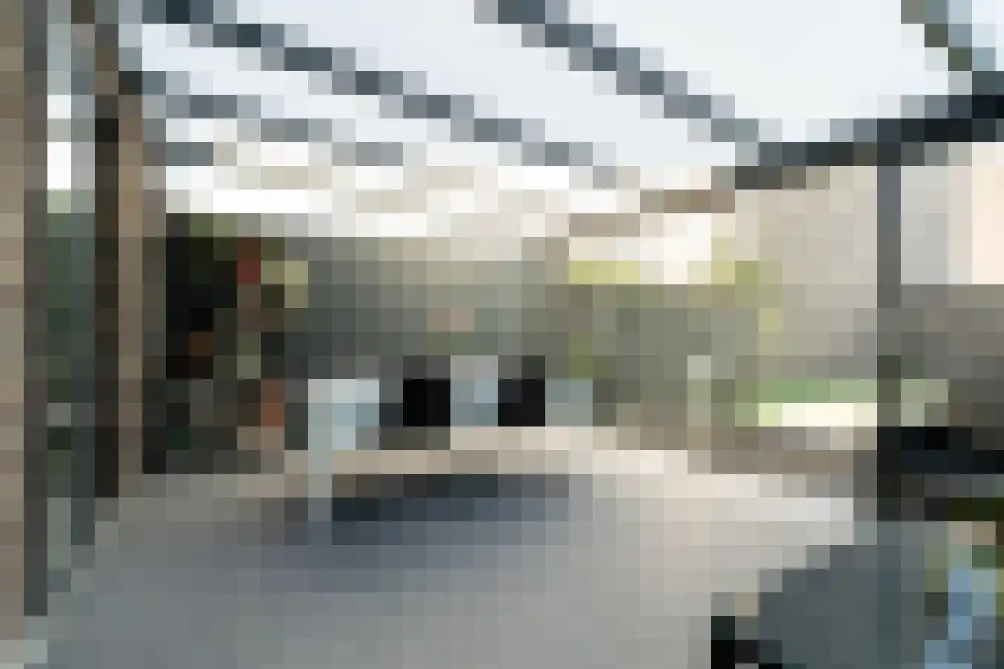 Rietzangerstraat 32 Den Haag thumbnail 9