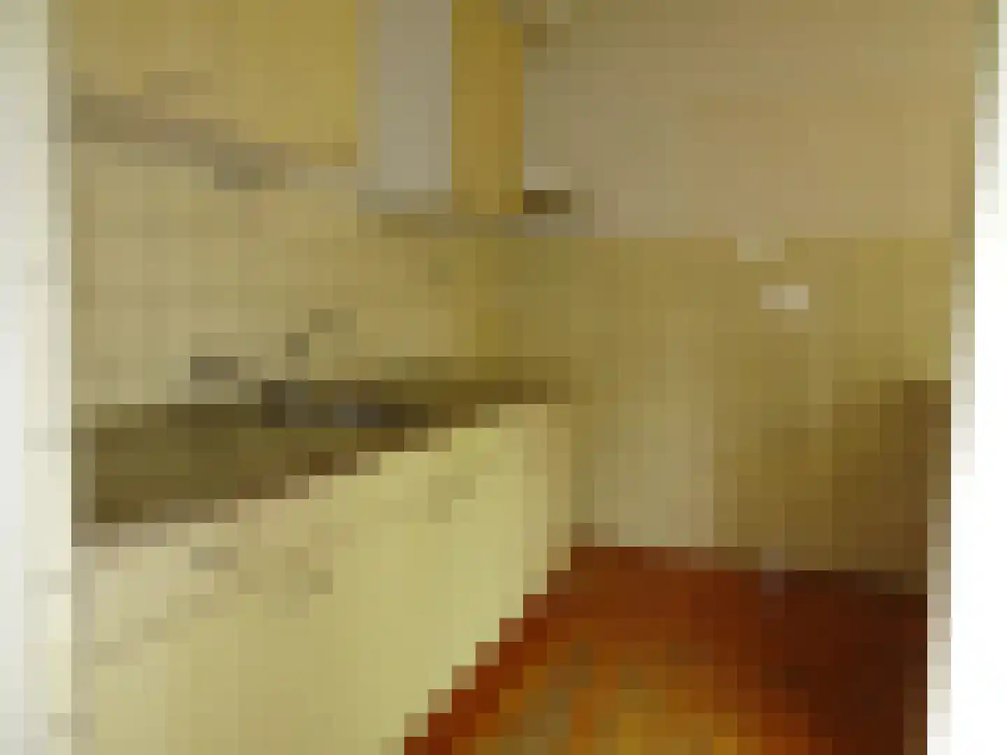 Rietzangerstraat 55 Schagen thumbnail 12