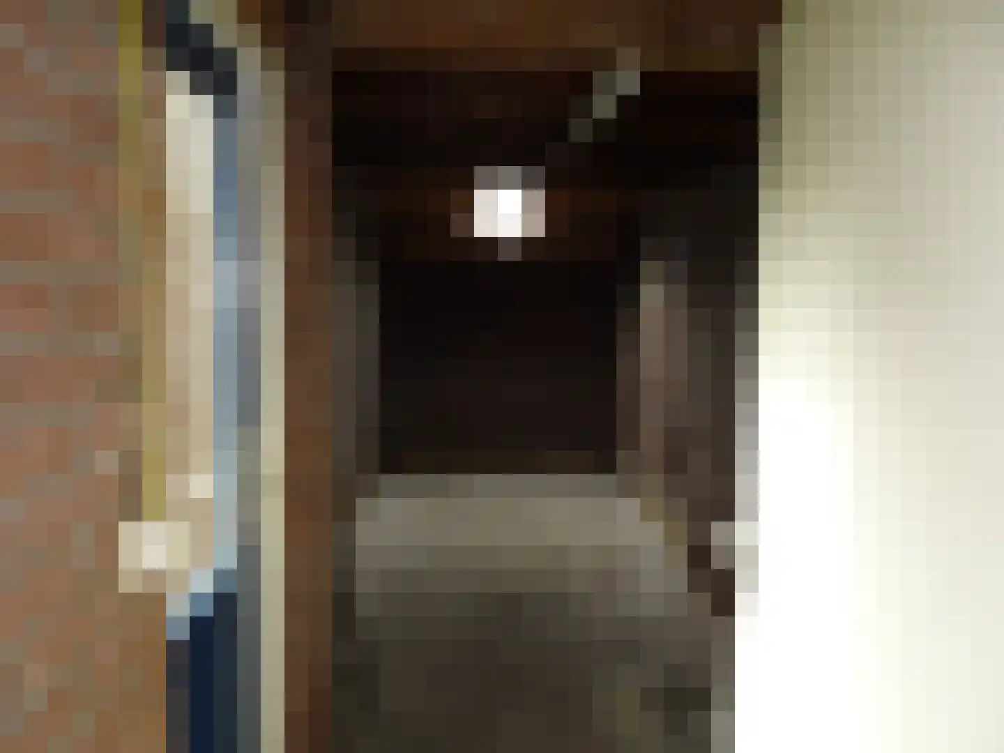 Rietzangerstraat 55 Schagen thumbnail 13