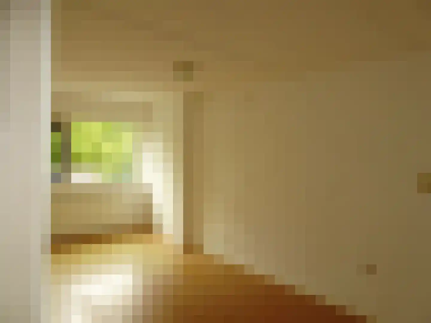 Rietzangerstraat 55 Schagen thumbnail 16