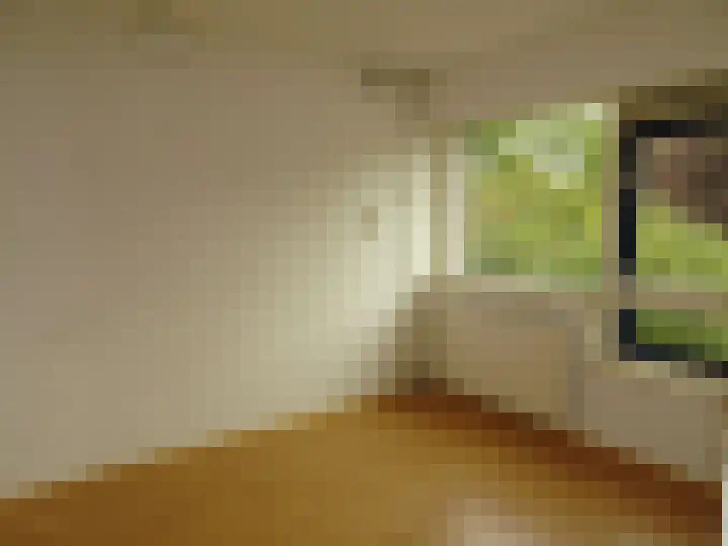 Rietzangerstraat 55 Schagen thumbnail 17