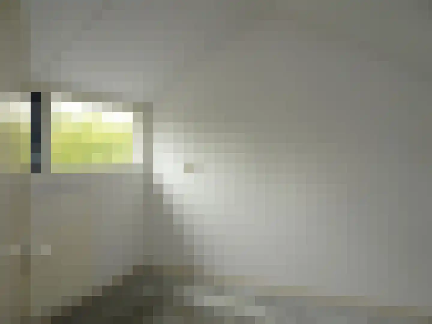 Rietzangerstraat 55 Schagen thumbnail 22