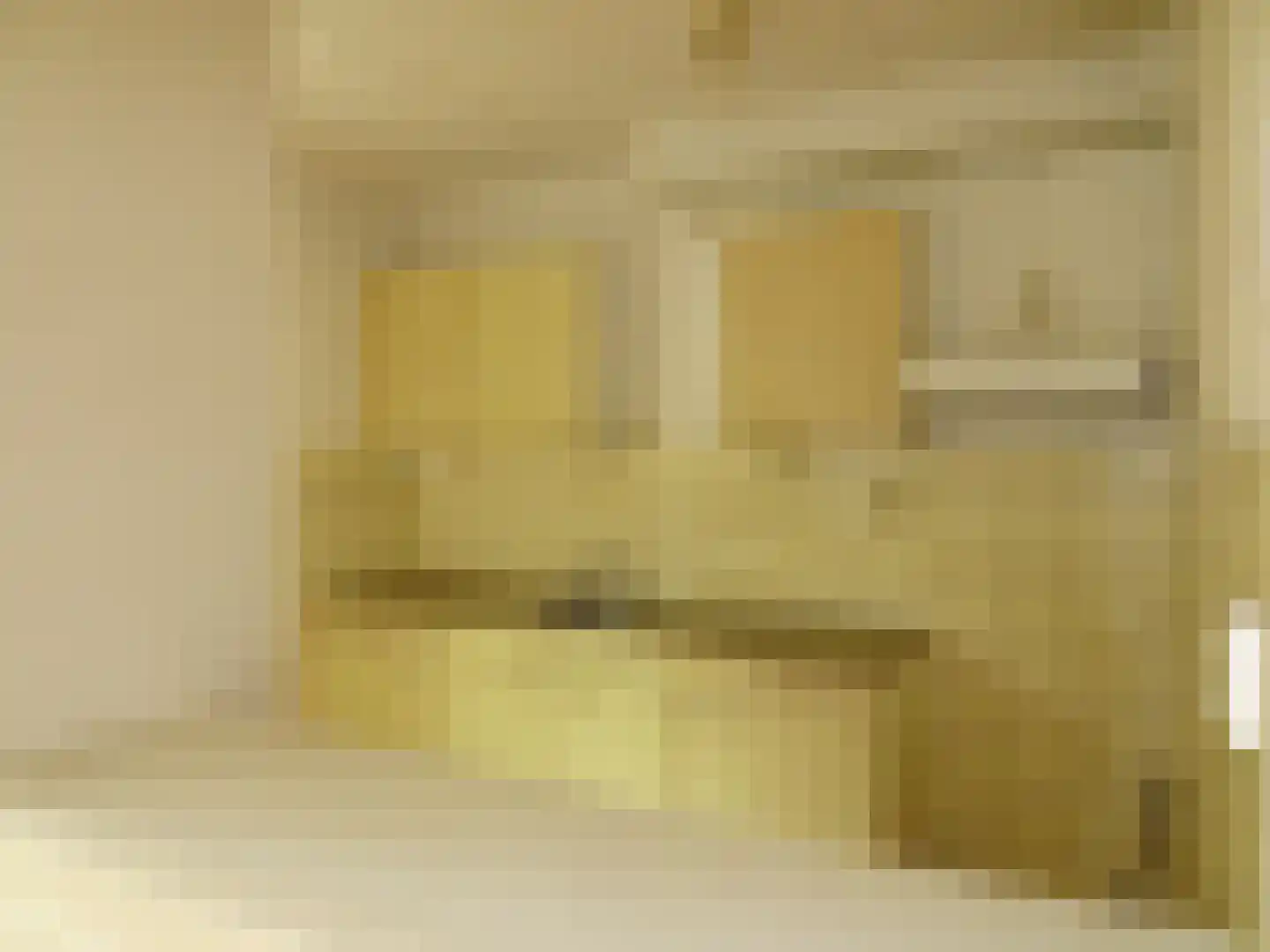 Rietzangerstraat 55 Schagen thumbnail 4