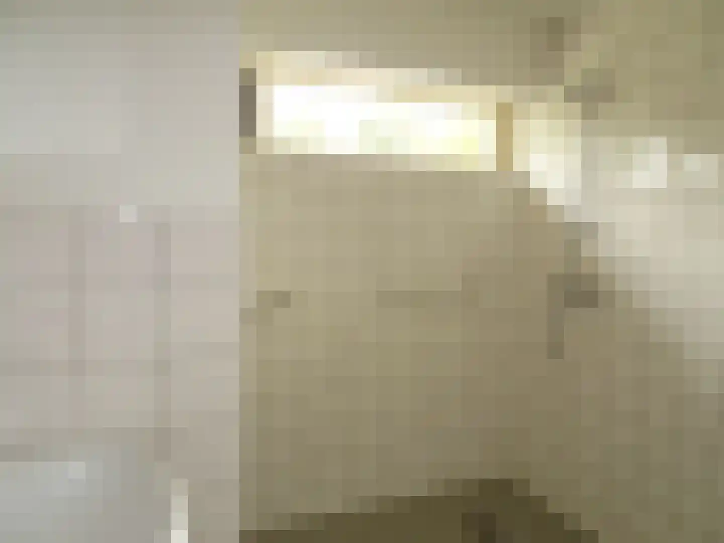 Rietzangerstraat 55 Schagen thumbnail 5