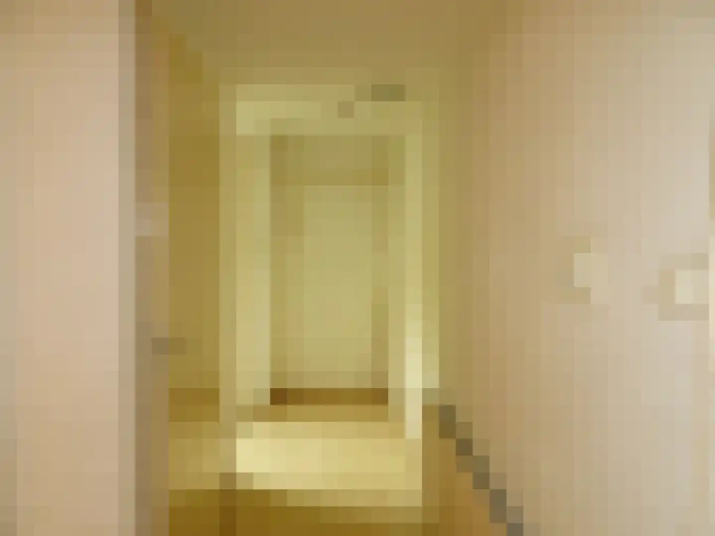 Rietzangerstraat 55 Schagen thumbnail 7