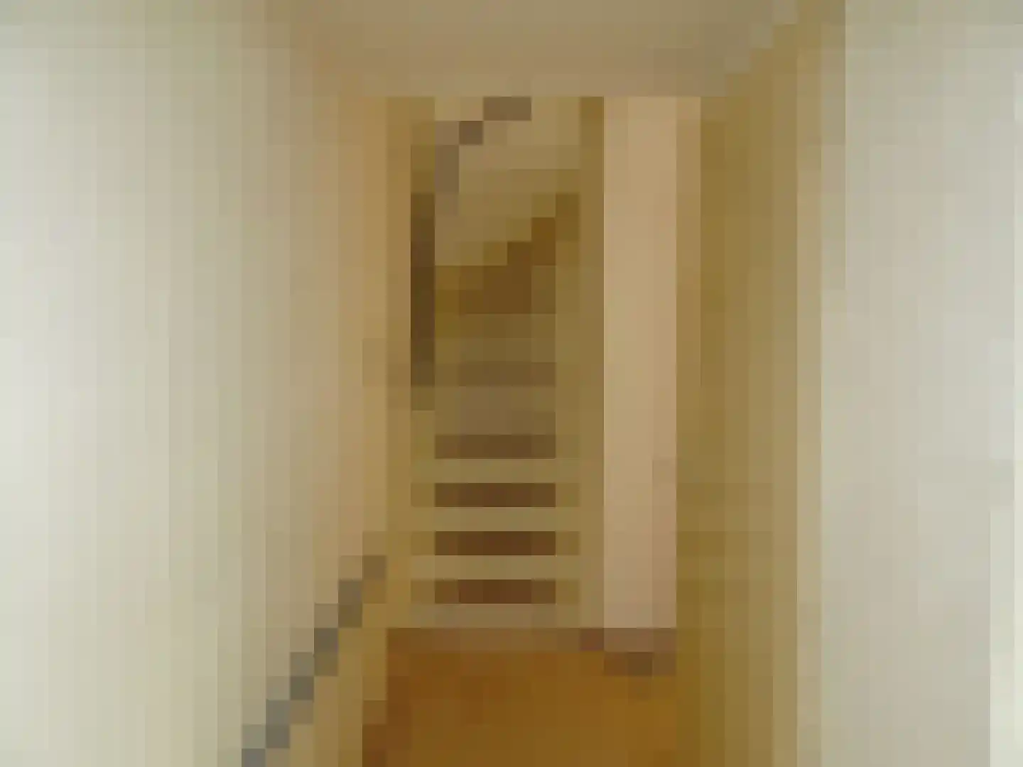 Rietzangerstraat 55 Schagen thumbnail 8