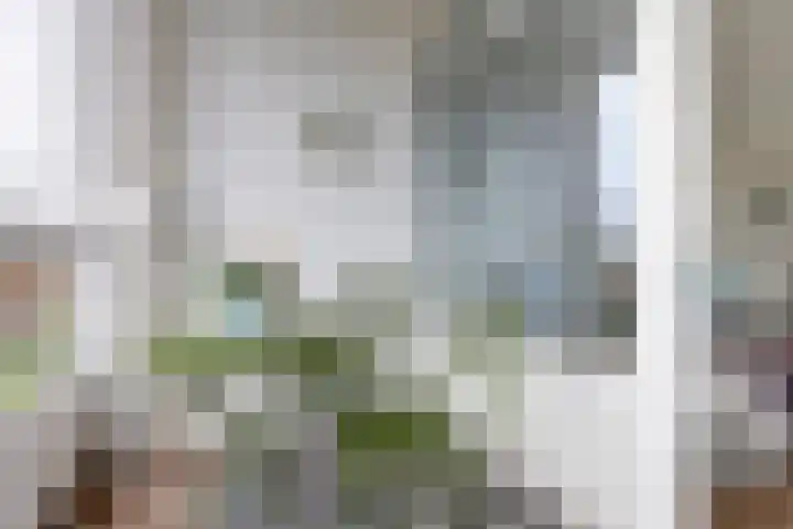 Rietzangerstraat 79 Amersfoort thumbnail 5