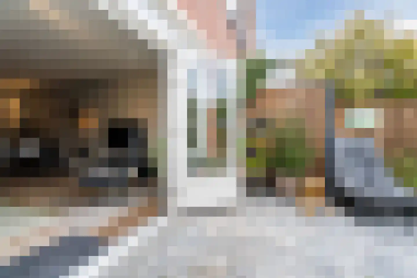 Rietzangerstraat 9 Delft thumbnail 37