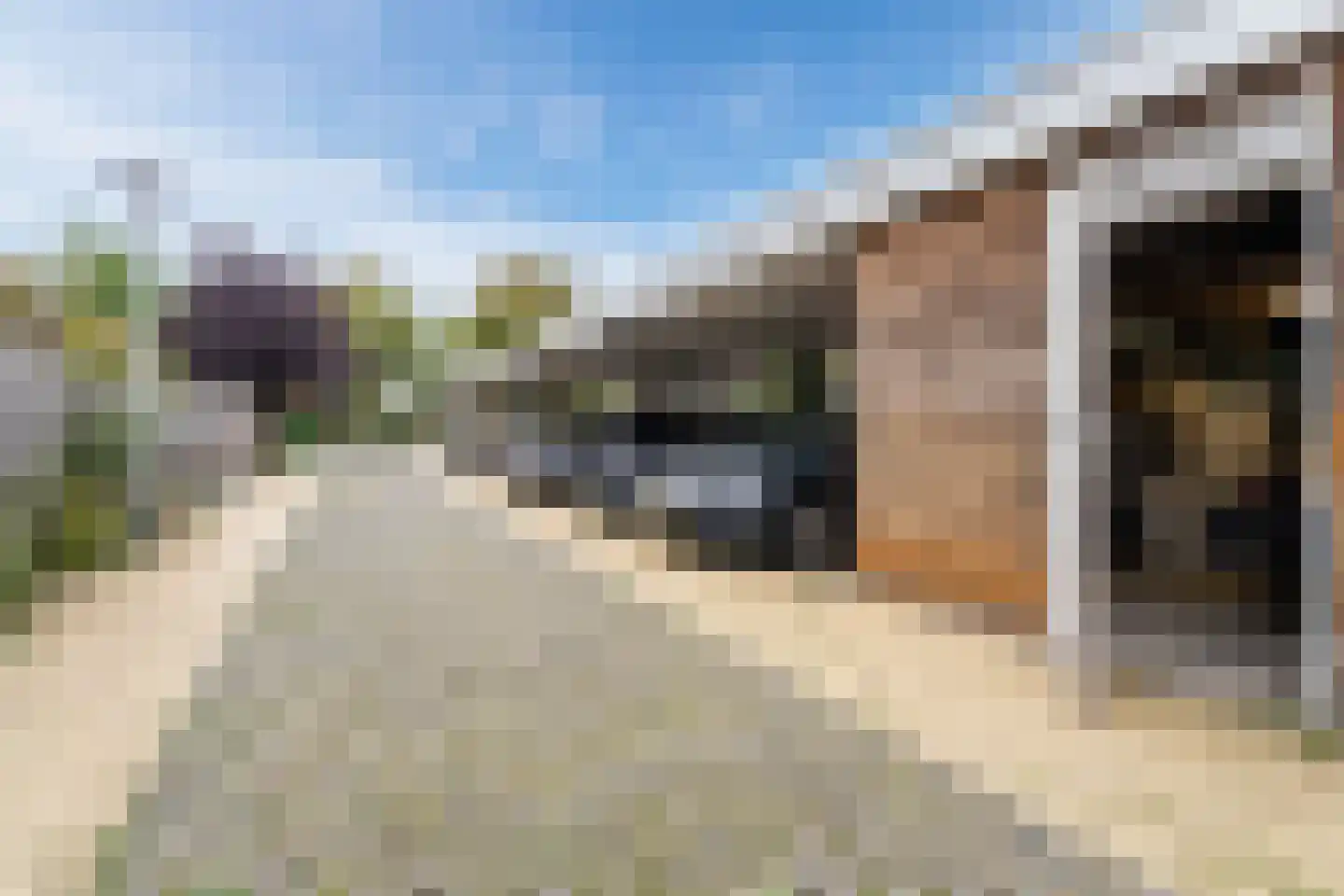 Rietzangerstraat 9 Delft thumbnail 42